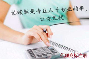 zui好的连云港财务代账公司 百纳会计