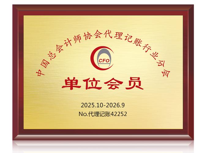 上海举凡财务咨询